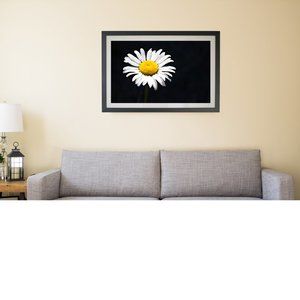 Daisy Contemporary flower photo artwork wall art